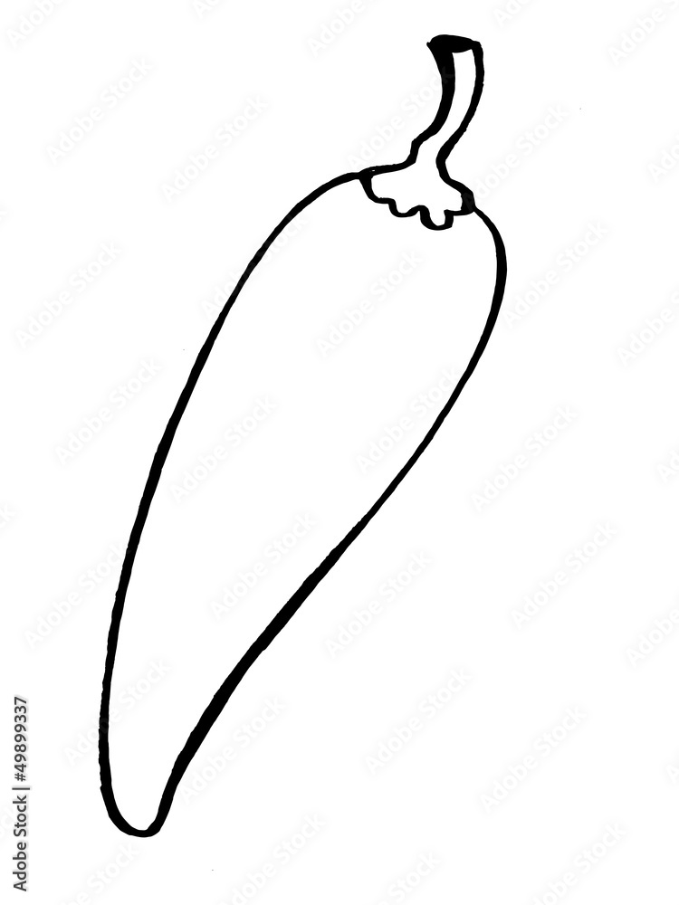 hand drawn, vector illustration of red pepper hand drawn, vector illustration of red pepper