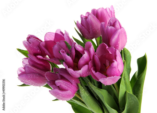 Fototapeta Naklejka Na Ścianę i Meble -  Beautiful bouquet of purple tulips, isolated on white