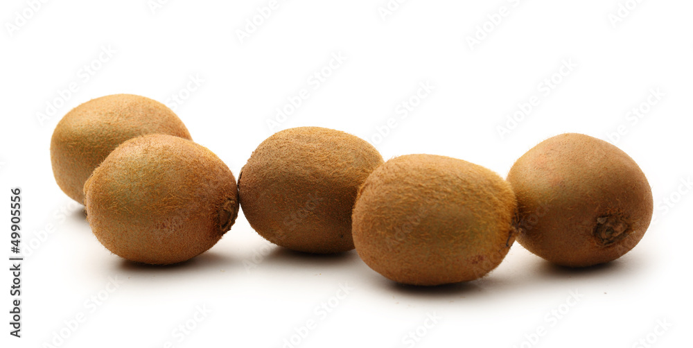 Kiwi on the white background Kiwi on the white background