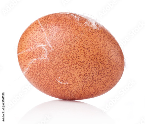 One brown chicken egg with feather isolated on white background