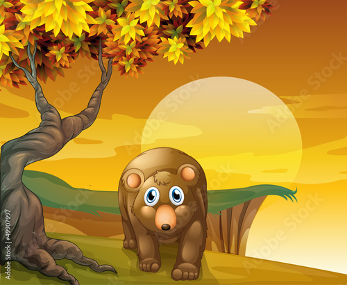 A brown bear beside a big tree near the cliff