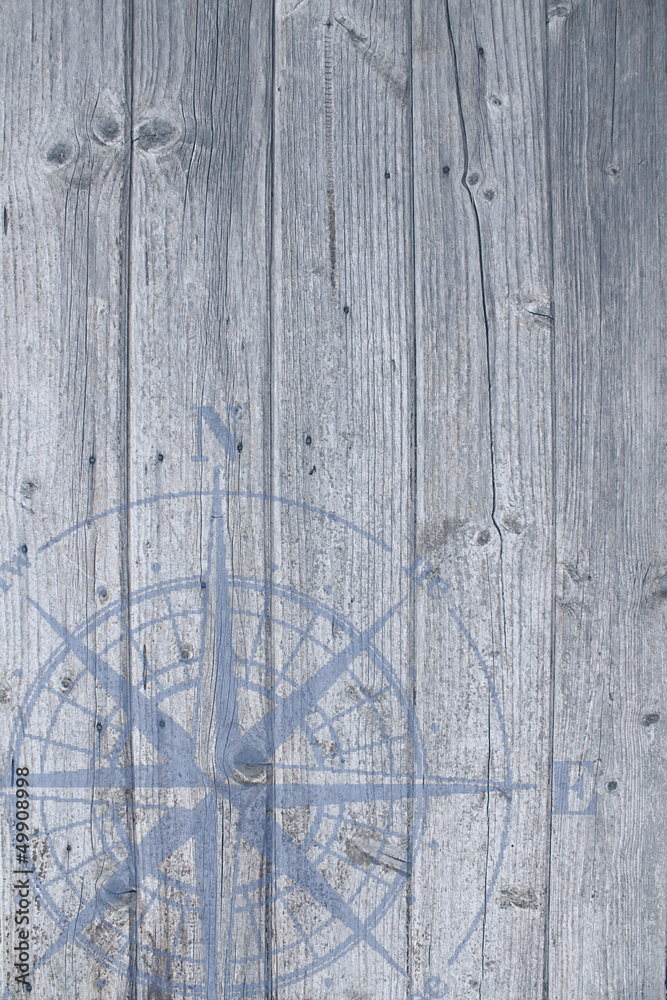 Fototapeta premium Windrose hellblau