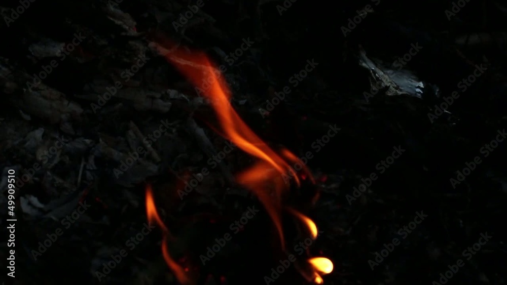 Flame Flame