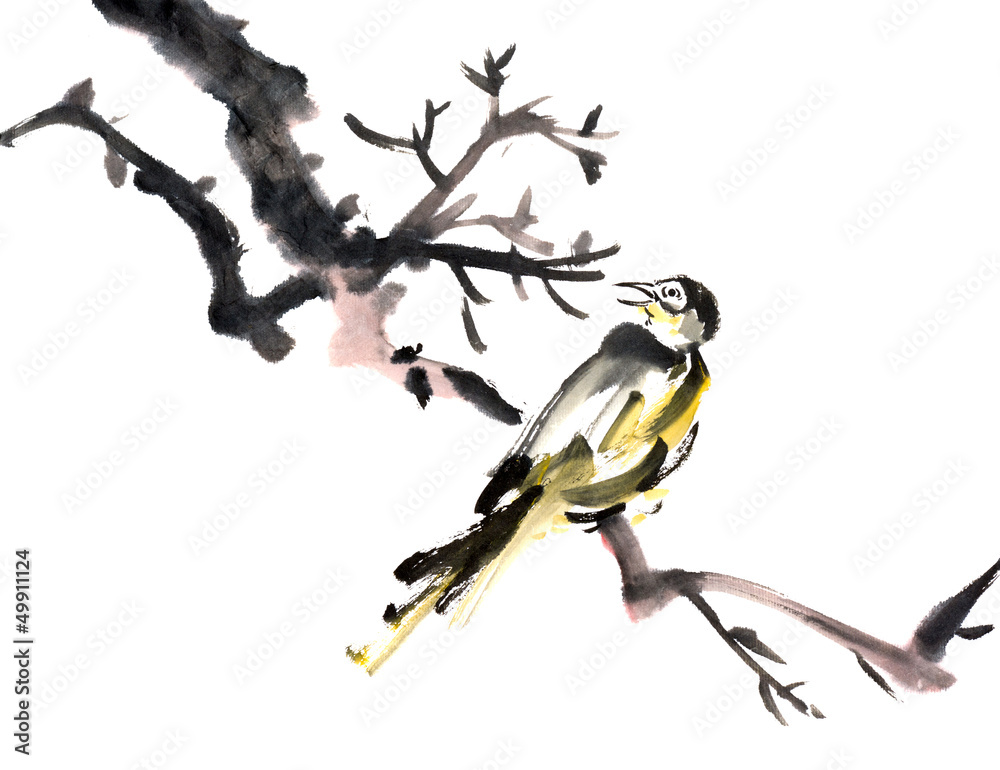 Naklejka premium bird