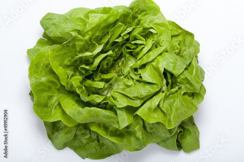 Fresh green Lettuce salad isolated on white background