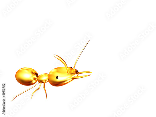 golden ant