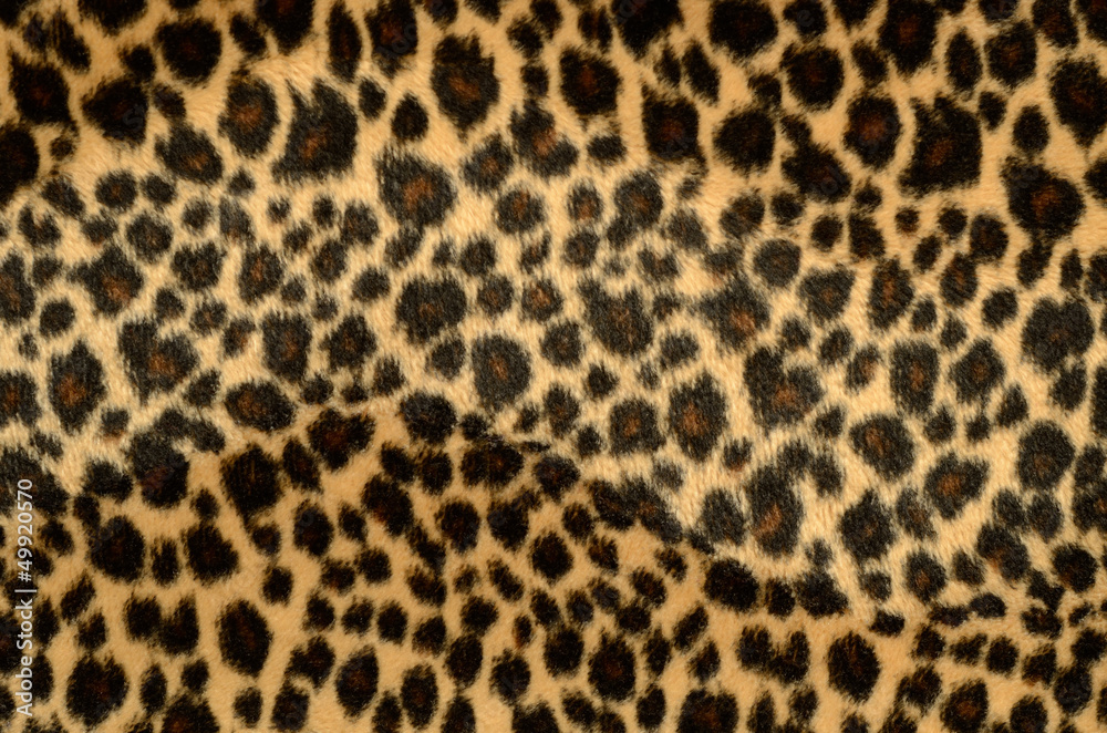 Leopard fur texture Leopard fur texture