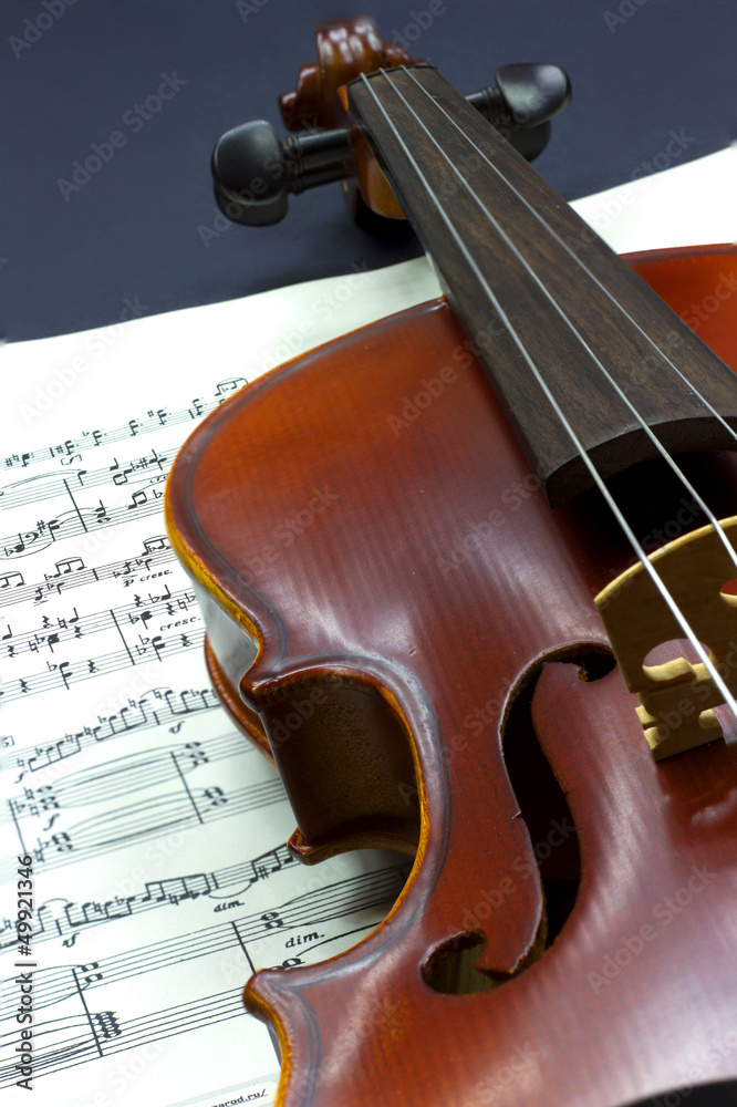 Fototapeta premium violino