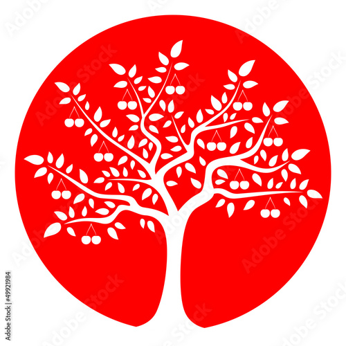cherry tree