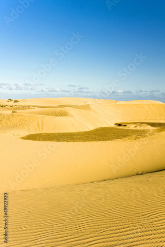 Desert  Dunas de Maspalomas  in Gran Canaria island Spain