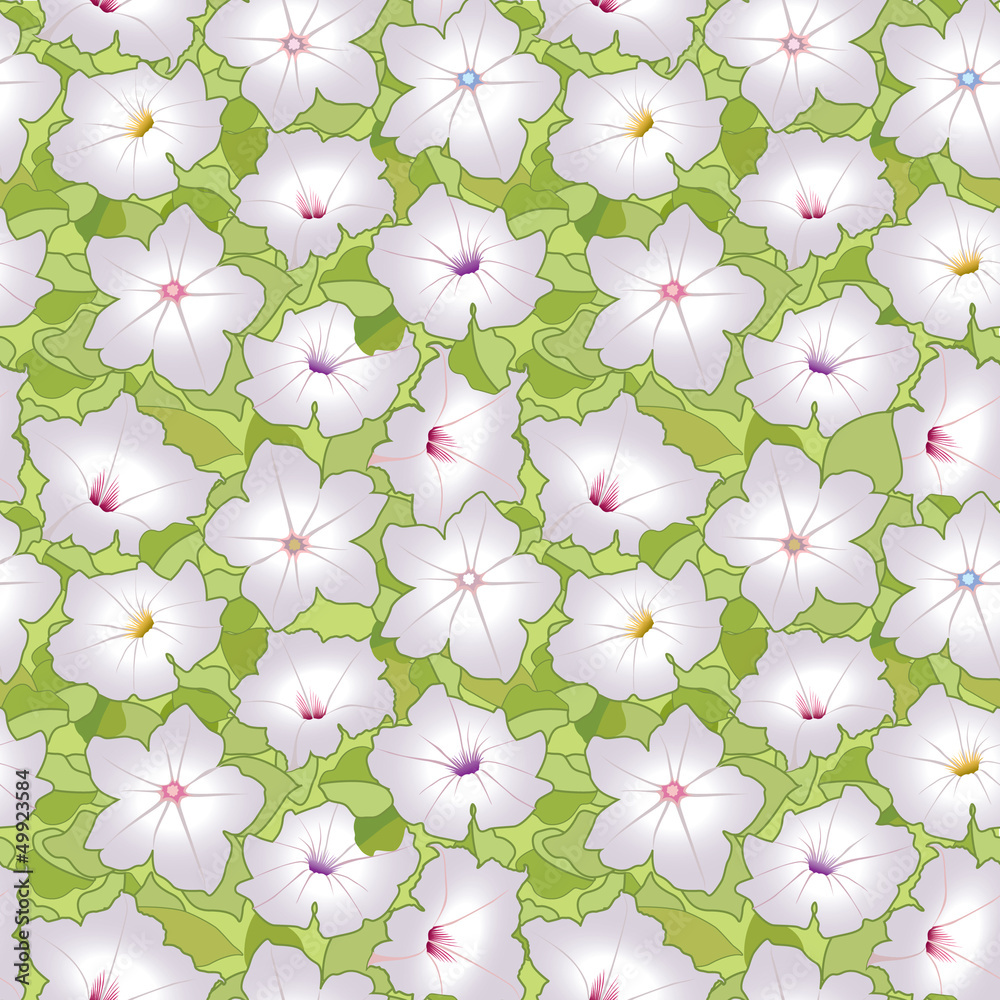 floral seamless pattern with white flowers petunias floral seamless pattern with white flowers petunias