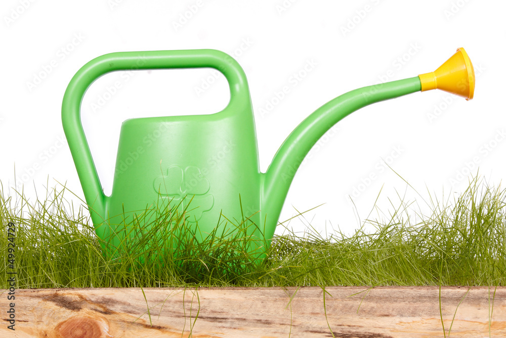 Obraz premium watering can, tools and flowers