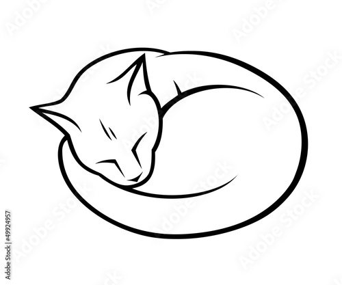 Sleepy cat