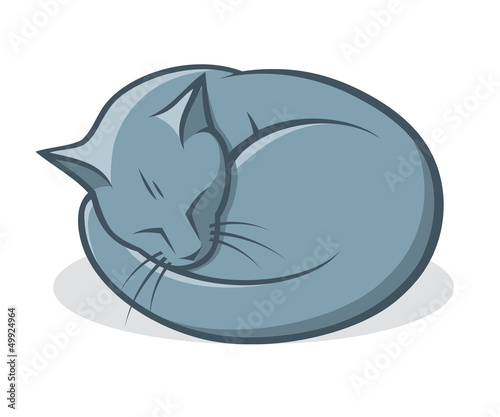 Sleepy cat