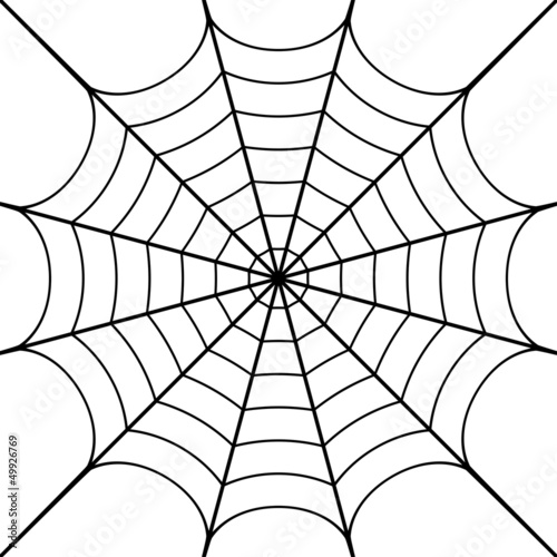 Fototapeta Vector illustration of cobweb