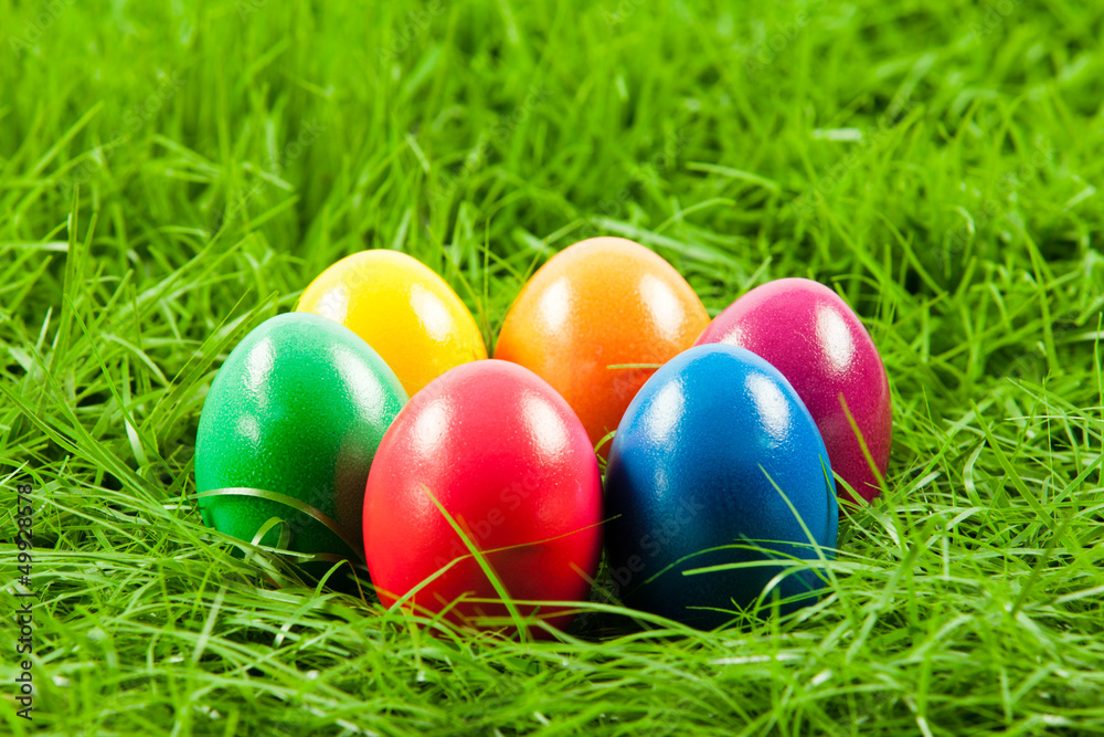 Easter eggs in Fresh Green Grass .