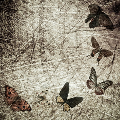 Fototapete Schmetterlinge im Grunge Schmetterling auf Holz Grunge Hintergrund  © defun