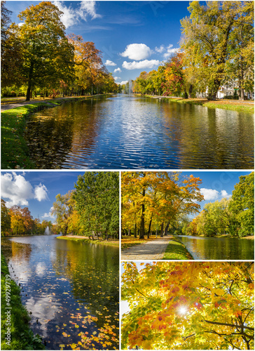 Autumn golden park