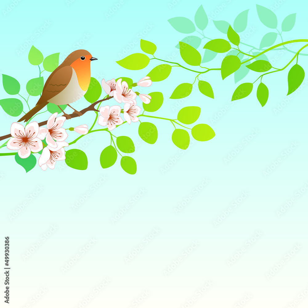 Spring Robin
