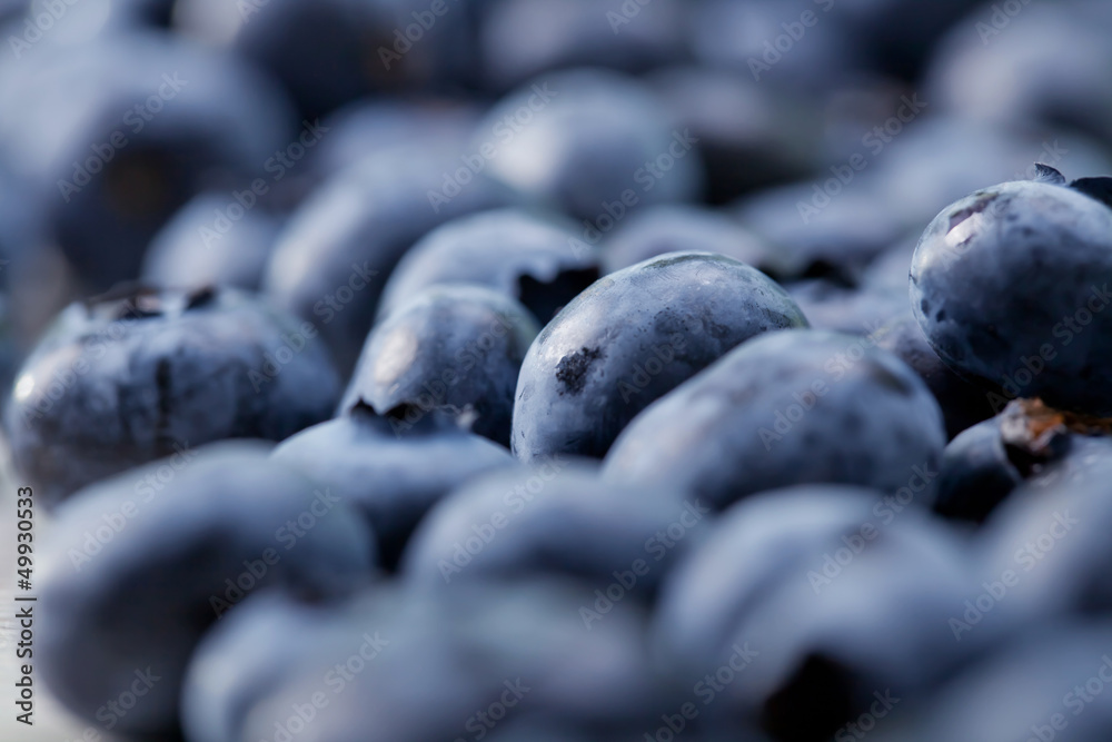 Obraz premium Fresh Blueberries