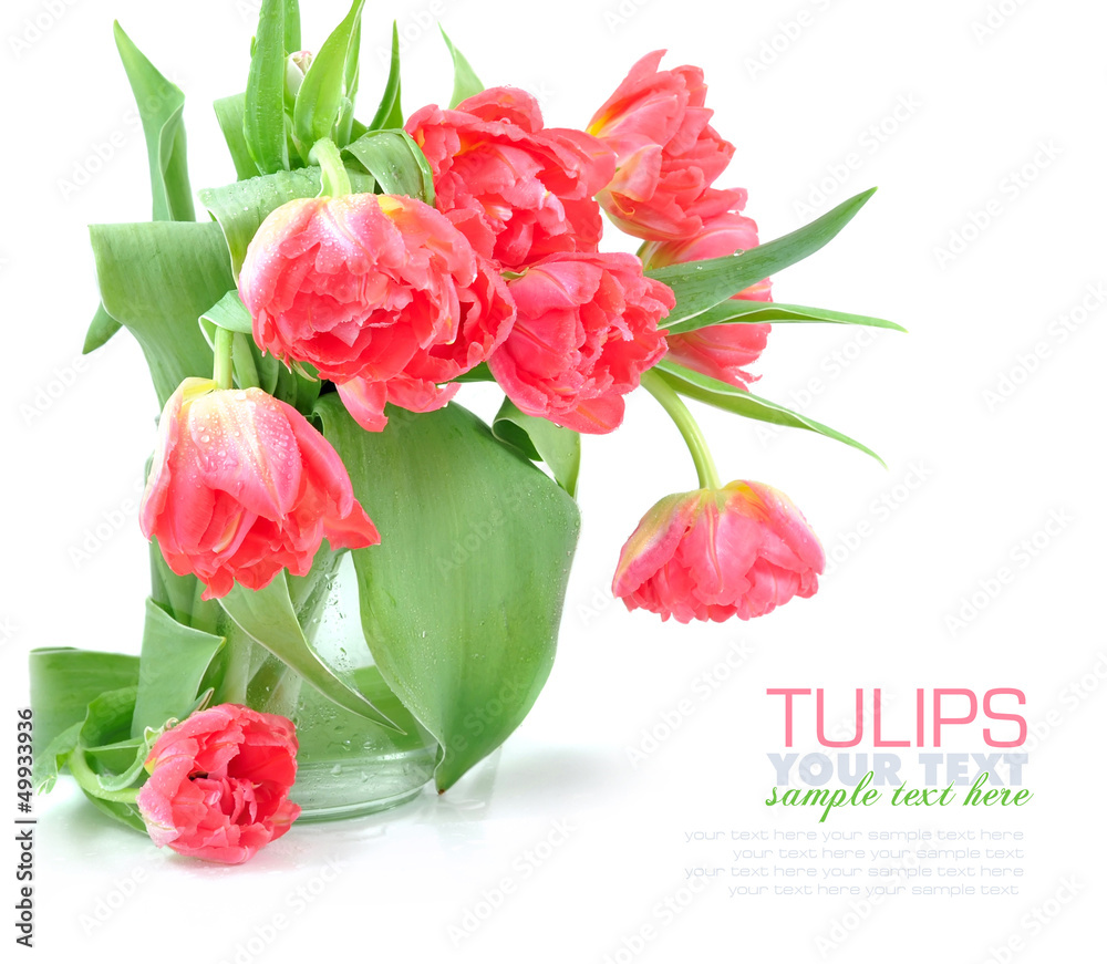 Bouquet of tulips isolated on white