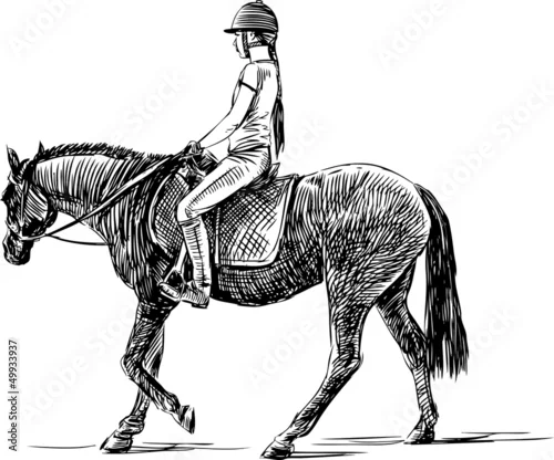 Obraz jeździec