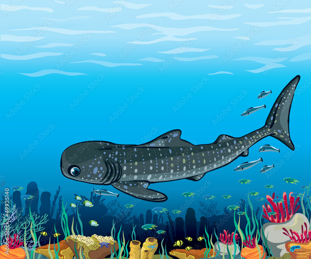 Handtuch mit foto mit Walhai und