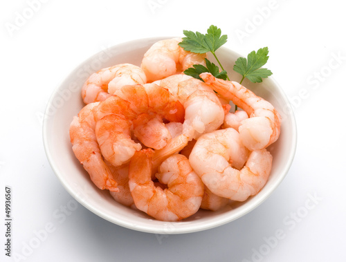 Gamberetti - Shrimps