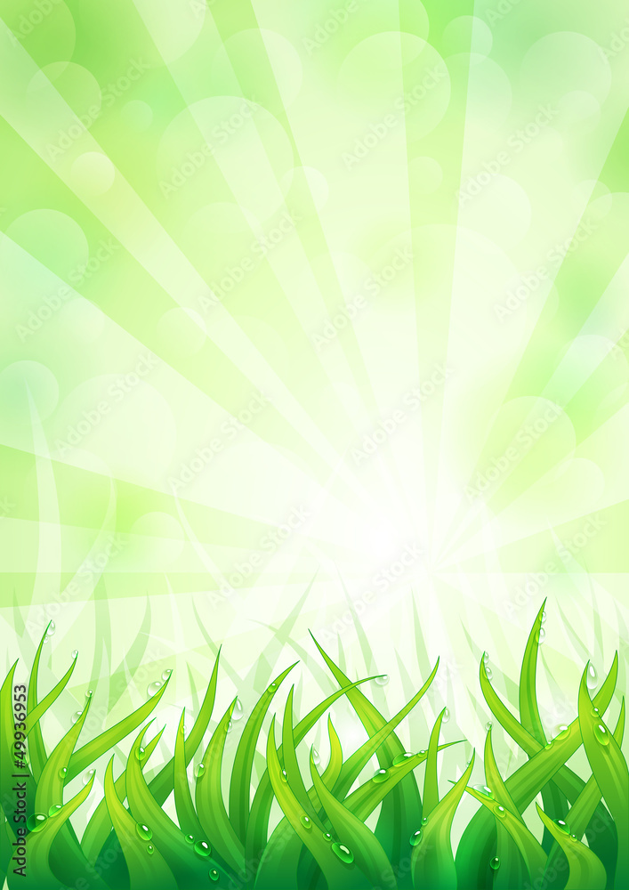 Obraz premium Natural background