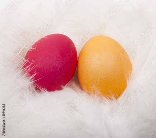 Zwei Eier  im Nest