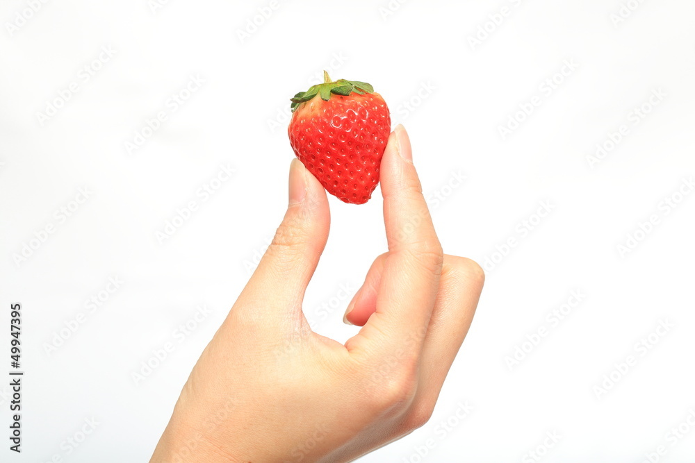 Obraz premium イチゴ