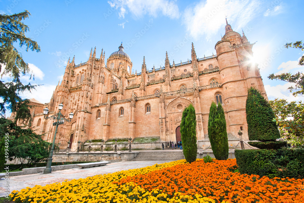 Cathedral of Salamanca, Castilla y Leon, Spain