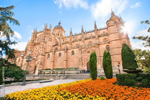 Obraz na płótnie Cathedral of Salamanca, Castilla y Leon, Spain w salonie