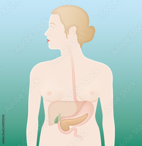 Frau mit Organen