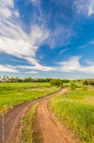 Summer landscape with green grass