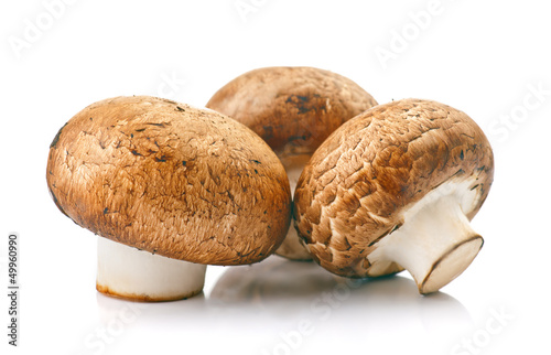 group of champignons isolated on white background