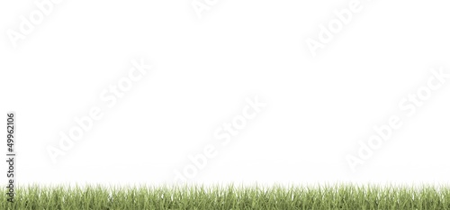 Fototapeta Naklejka Na Ścianę i Meble -  Cesped - grass - Pasto