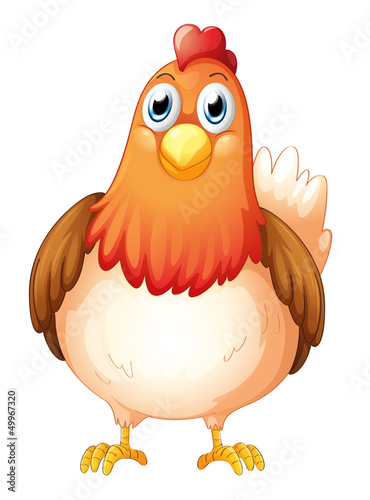 A big fat hen © GraphicsRF