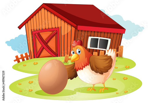 A hen with egg