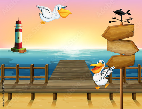 Two birds near a wooden arrow board
