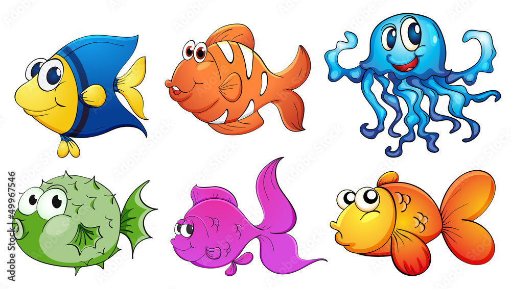 Five different kinds of sea creatures
