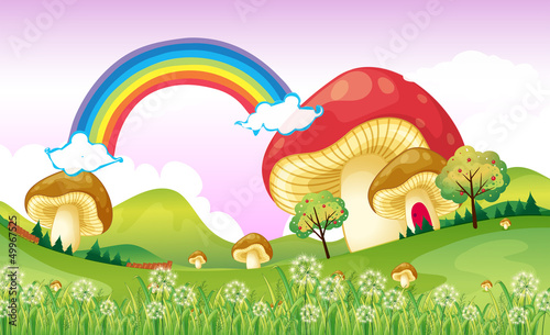 Mushrooms near the rainbow