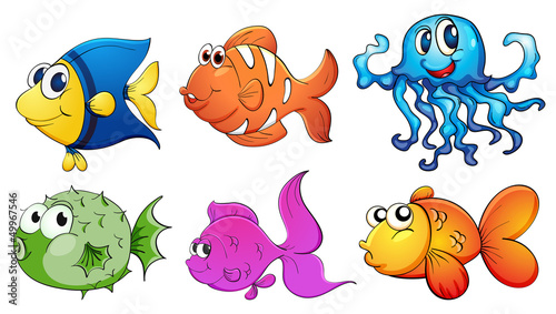 Five different kinds of sea creatures