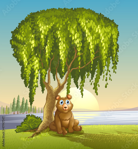 A bear under a big tree