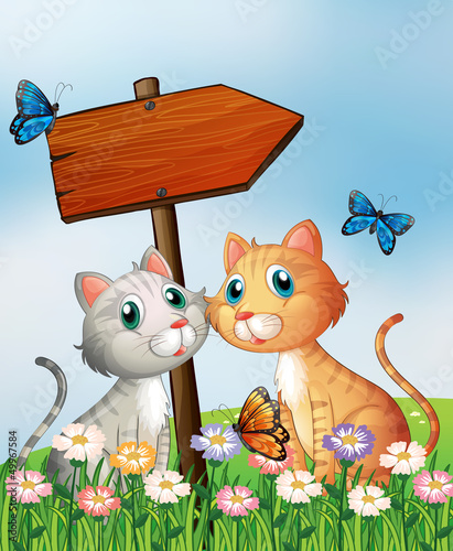 Two cats in front of an empty wooden arrow board
