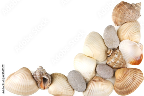 Seashells and pebbles isolated on white with space for text