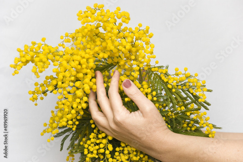 mimosa-in-hands