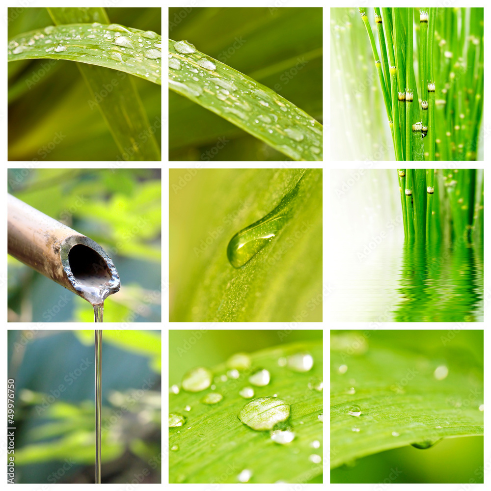 Obraz premium Collage de photo, nature et eau, fontaine en bambou et gouttes de pluie sur des fauilles