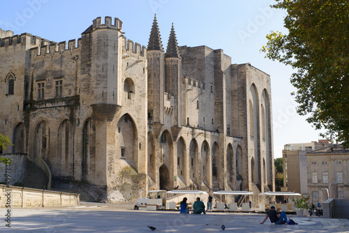 Schilderij op canvas Palais des Papes, Avignon