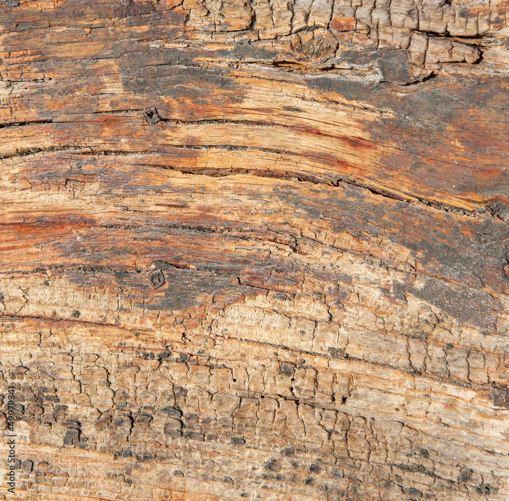 Old wood Old wood